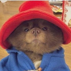 Meet your Posher, Seeley